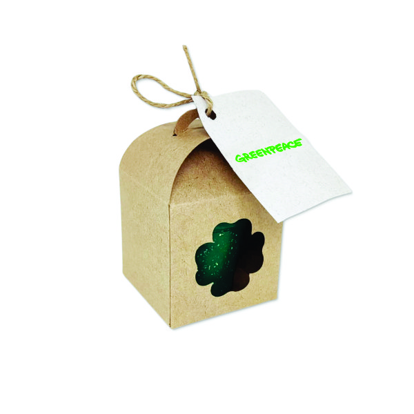 Kit Semente Mágica Personalizado Kit Semente Mágica Personalizado