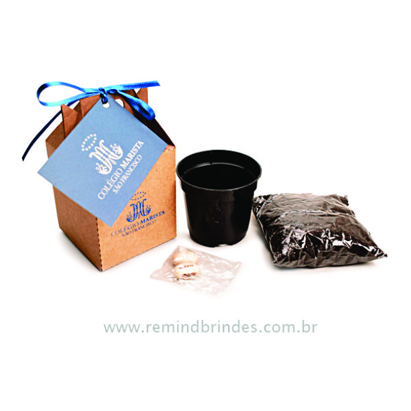 Kit Plantio Kraft com Semente Kit Plantio Kraft com Semente