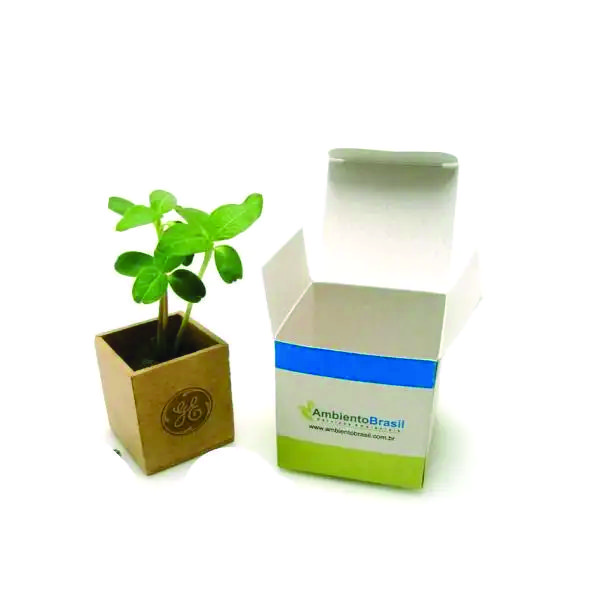 Mini Kit Plantio em Papel Mini Kit Plantio em Papel